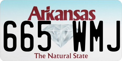 AR license plate 665WMJ