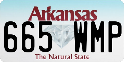AR license plate 665WMP