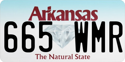 AR license plate 665WMR