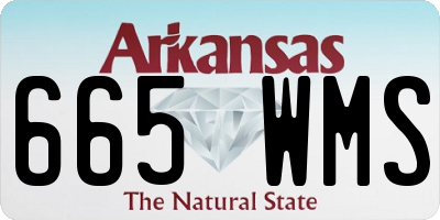 AR license plate 665WMS