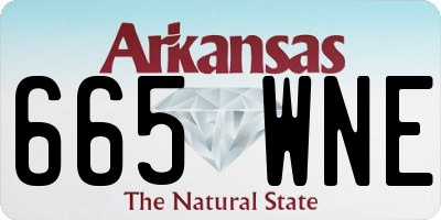 AR license plate 665WNE