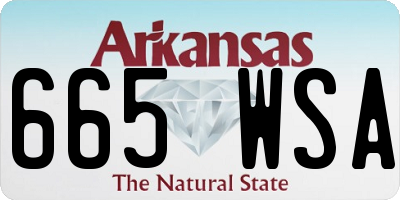 AR license plate 665WSA