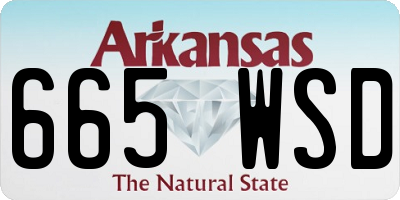 AR license plate 665WSD