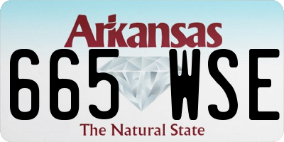 AR license plate 665WSE