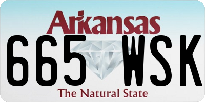 AR license plate 665WSK