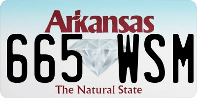 AR license plate 665WSM
