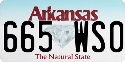 AR license plate 665WSO