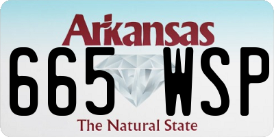 AR license plate 665WSP