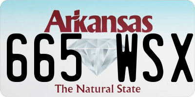 AR license plate 665WSX