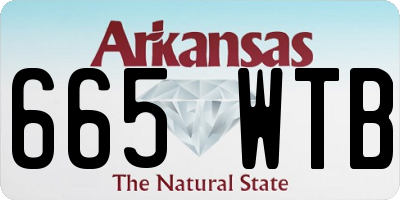 AR license plate 665WTB