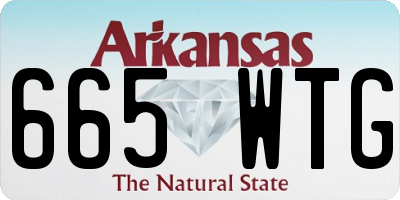 AR license plate 665WTG