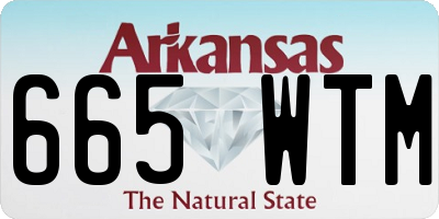 AR license plate 665WTM