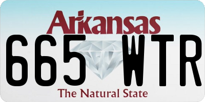 AR license plate 665WTR