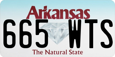 AR license plate 665WTS