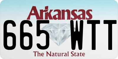 AR license plate 665WTT