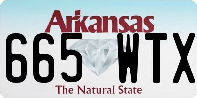 AR license plate 665WTX