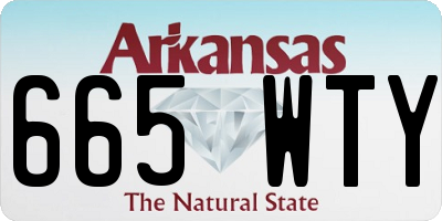 AR license plate 665WTY