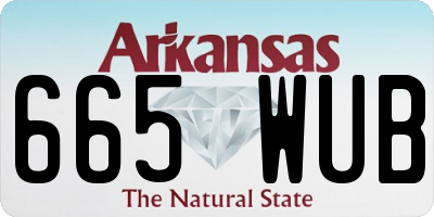 AR license plate 665WUB