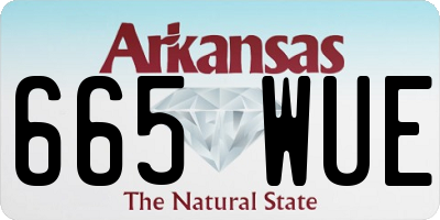 AR license plate 665WUE