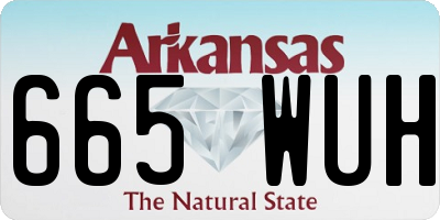 AR license plate 665WUH