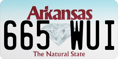 AR license plate 665WUI