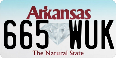 AR license plate 665WUK