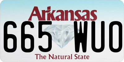 AR license plate 665WUO