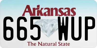 AR license plate 665WUP