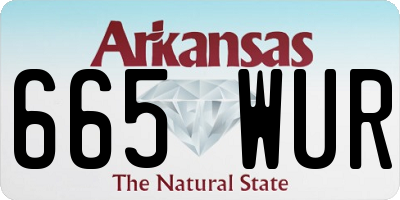 AR license plate 665WUR