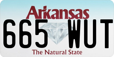 AR license plate 665WUT
