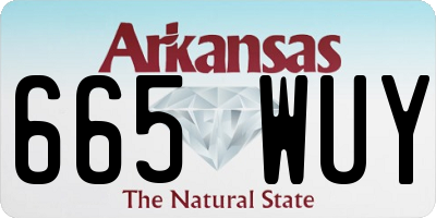 AR license plate 665WUY