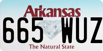 AR license plate 665WUZ