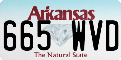 AR license plate 665WVD