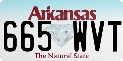 AR license plate 665WVT