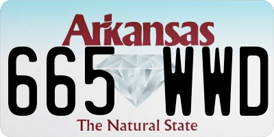 AR license plate 665WWD