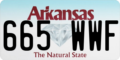 AR license plate 665WWF