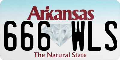 AR license plate 666WLS