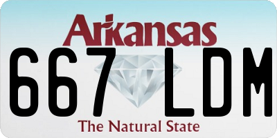 AR license plate 667LDM