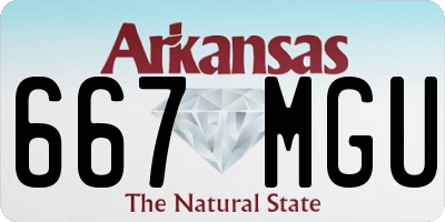 AR license plate 667MGU