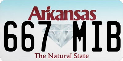 AR license plate 667MIB