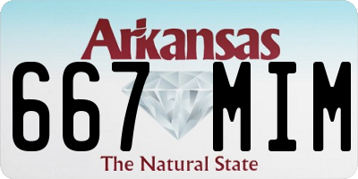 AR license plate 667MIM