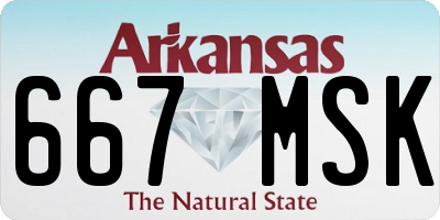 AR license plate 667MSK
