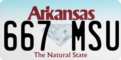AR license plate 667MSU