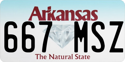 AR license plate 667MSZ