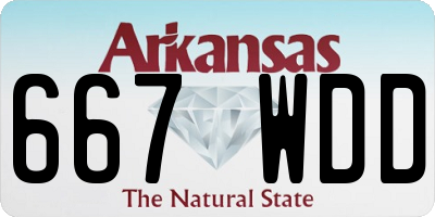 AR license plate 667WDD