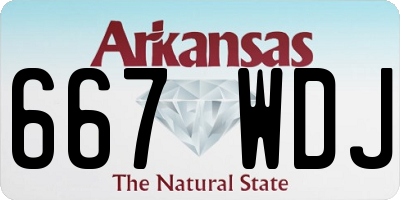 AR license plate 667WDJ