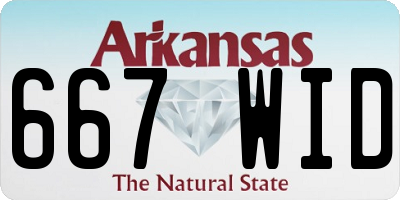 AR license plate 667WID