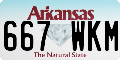 AR license plate 667WKM