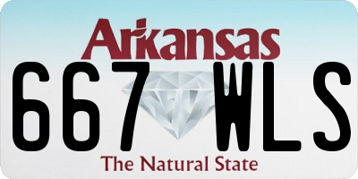 AR license plate 667WLS