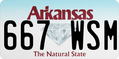 AR license plate 667WSM